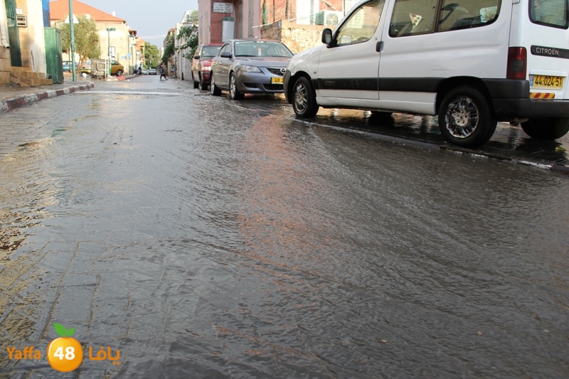 rain in yaffa921 (2).JPG